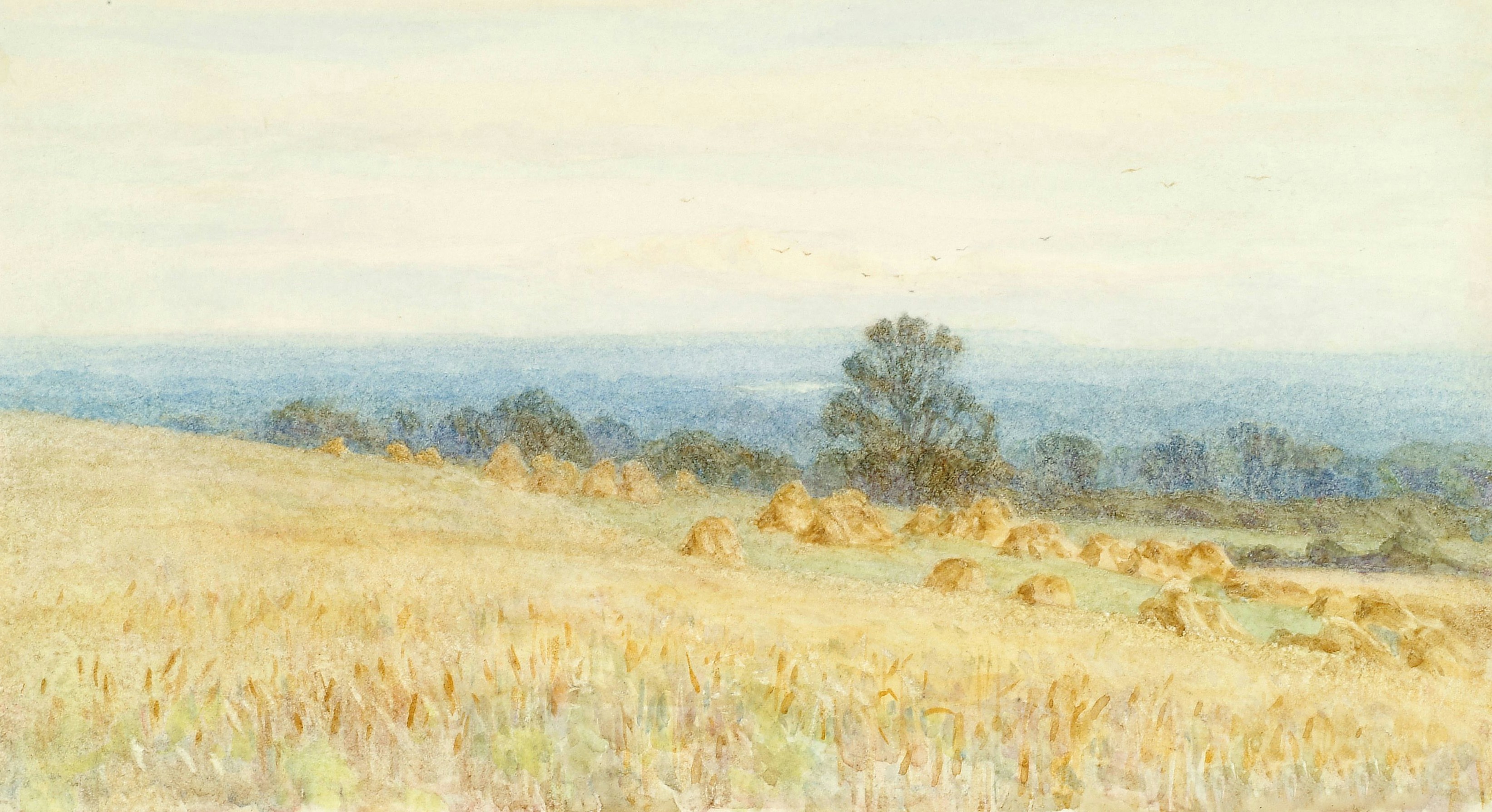 Mount