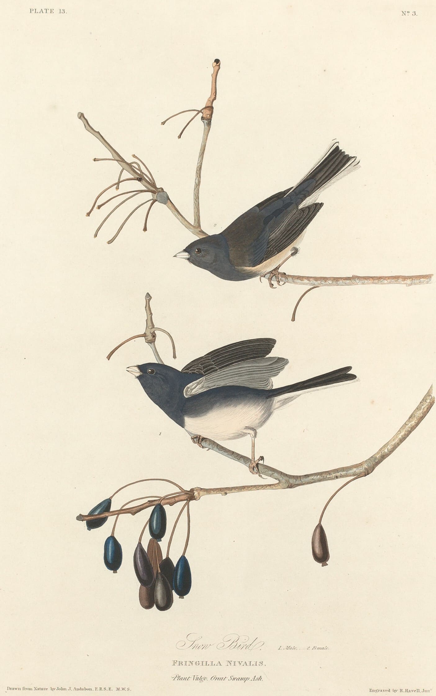 Alt text for this poem's image